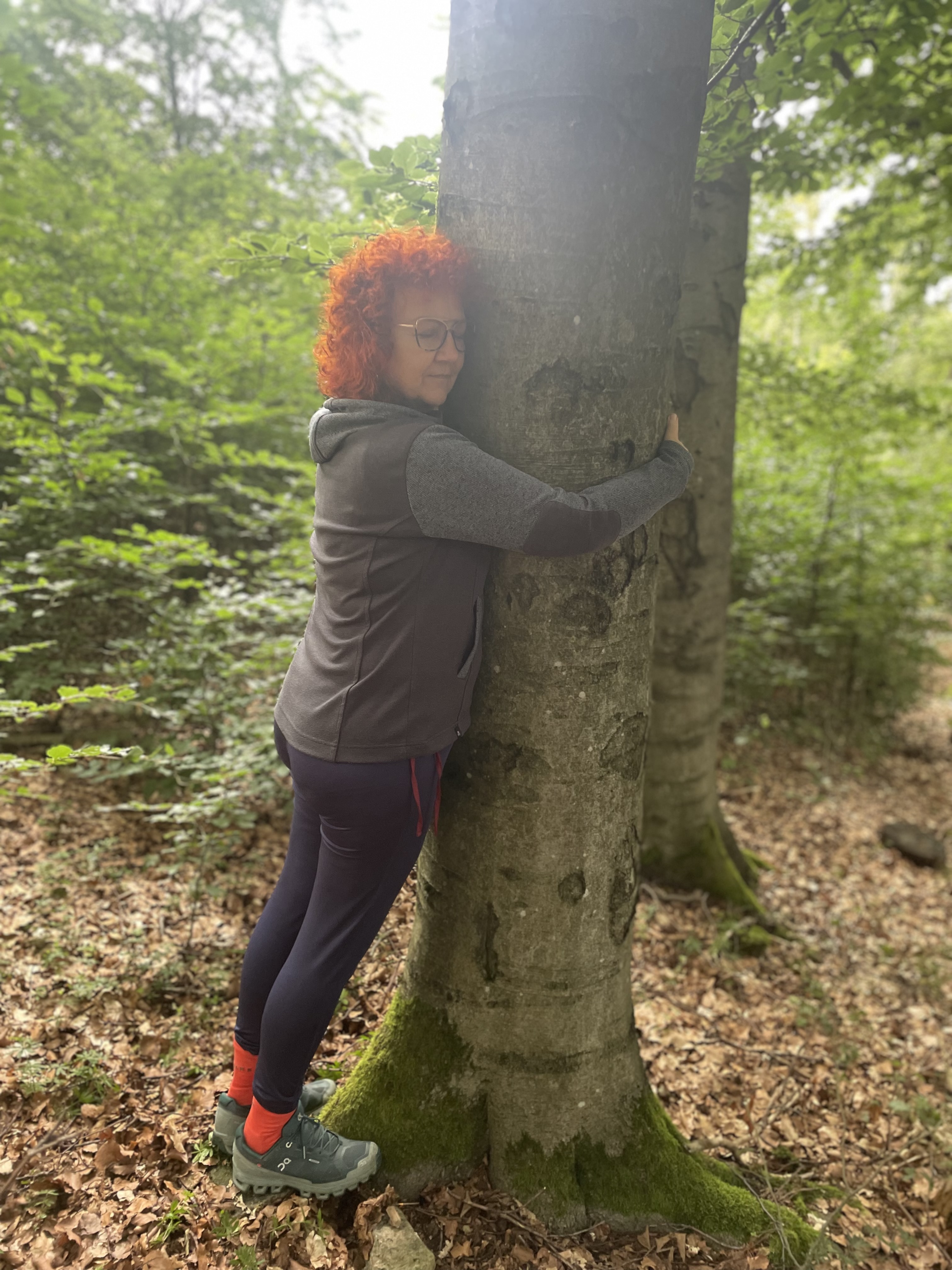 image-forest_bathing-new